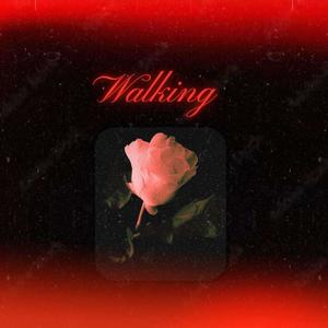 Walking (feat. Sm!tty) (Explicit)