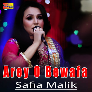 Arey O Bewafa - Single