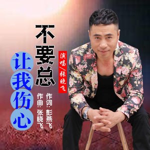 不要总让我伤心