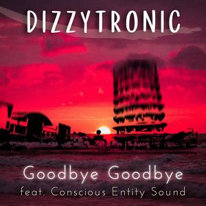 Goodbye Goodbye (feat. Conscious Entity Sound)