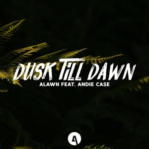 Dusk Till Dawn(feat. Andie Case)