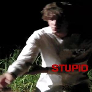 stupid (Explicit)