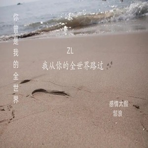 感情太假
