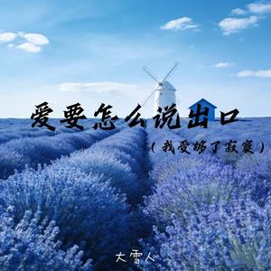 爱要怎么说出口（我受够了寂寞）