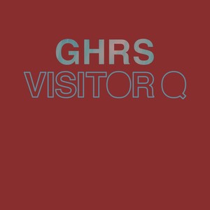 Visitor Q