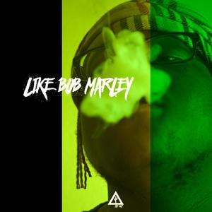 LIKE BOB MARLEY (Explicit)