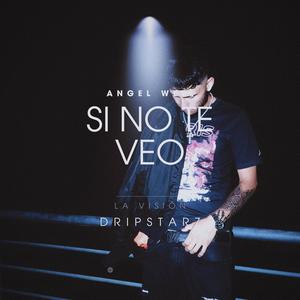 Si No Te Veo