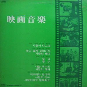 사랑의 나그네 (사랑의 나그네중에서)