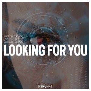 Looking for You (Extended Mix)