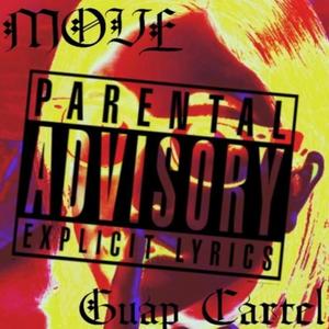 Move(feat. Guap Cartel) (Explicit)
