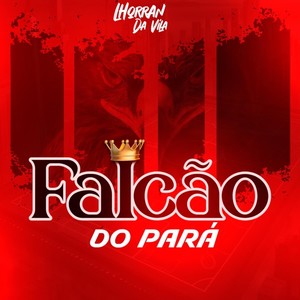 Falcão do Pará