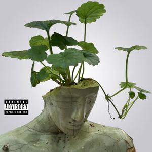 Grow (Explicit)