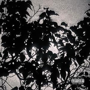 TE QUIERO (feat. Le Skank) (Explicit)