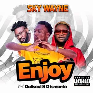 Enjoy (feat. Sky Wayne)