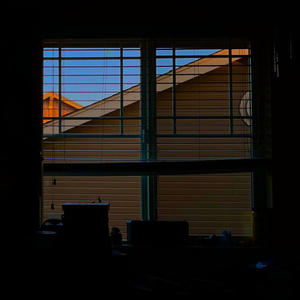 Forest (Uncut freestyle)