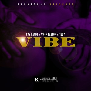 Vibe (Explicit)