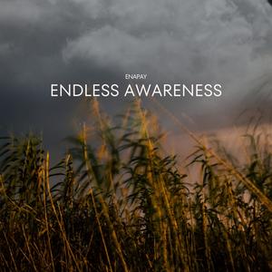 Endless Awareness