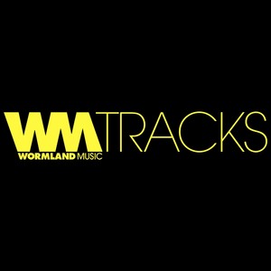 Wankers! (Original Mix)