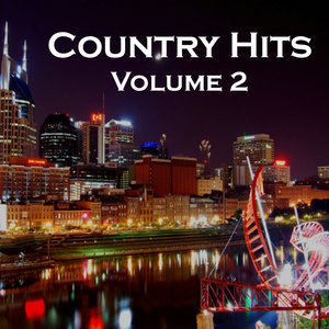 Country Hits Volume 2