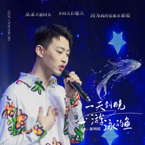 一天到晚游泳的鱼