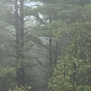 Tell Your Family And Friends You Love Them (feat. DJ LUSID & Vanguard Kollective|Explicit)