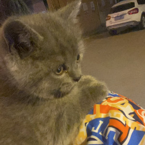 《爱如潮水》+《独行侠》 (remix: 张信哲)