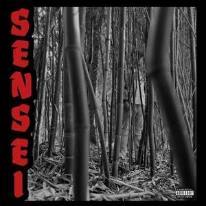 Sensei (Explicit)