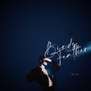 Birds of a feather (Remix)