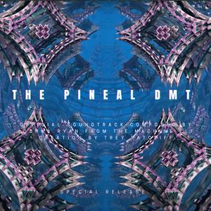 The Pineal DMT
