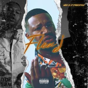 Why Is It (Freestyle) (Explicit)