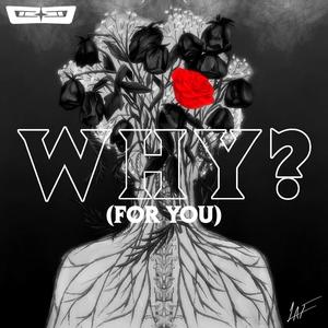WHY? (FOR YOU)