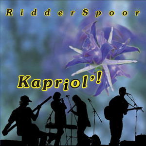 Ridderspoor