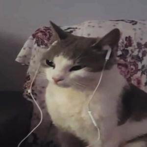 I KNOW EVERYTHING! (P. Piggybank112) (feat. Bludcult) (Explicit)