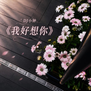 我好想你-DJ小钟