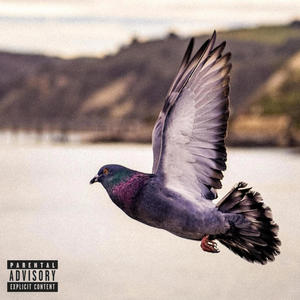 Pigeons (feat. Cuauhtli) [Explicit]