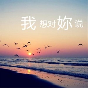 我想对妳说