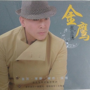 因为我太傻-金鹰