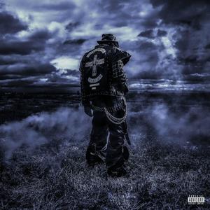 Two Face Cyborg (Explicit)