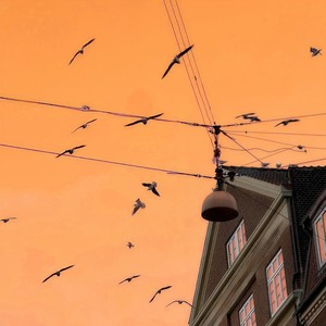 Mira Siegel - Empty Streets