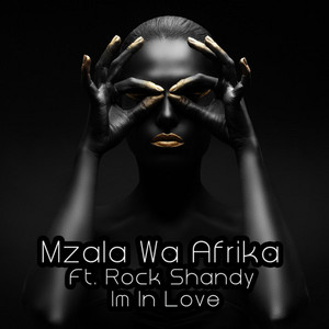 Im in Love(feat. Rock Shandy) (Bakk3 Afro Tribute Mix)