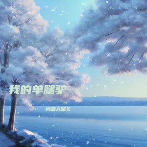 我的单腿驴