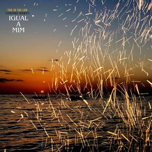 Igual a mim (feat. Leonardo Wawuti) (Radio Edit)