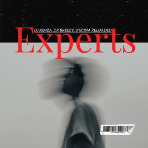 Experts