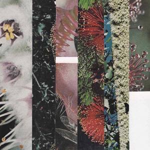 Setting Myself Free (feat. iiiso)