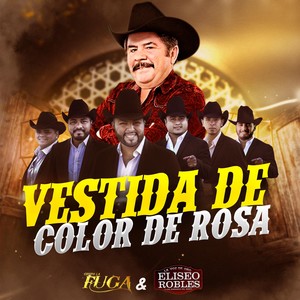 Vestida de color de rosa