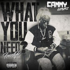 What You Need Freestyle (Explicit)
