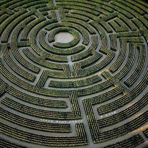 a maze