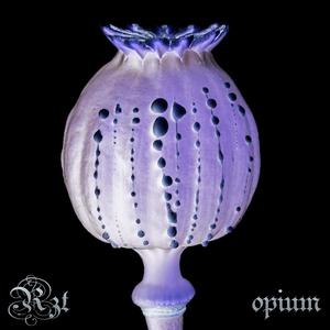 OPIUM