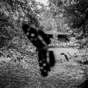 César Lerner - Lang