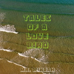 To All The Broken Hearted